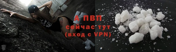 амф Богородицк