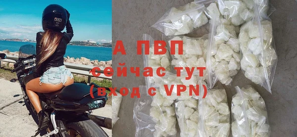 крисы Белокуриха