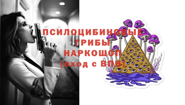 крисы Белокуриха